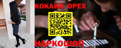 дмт Камышлов