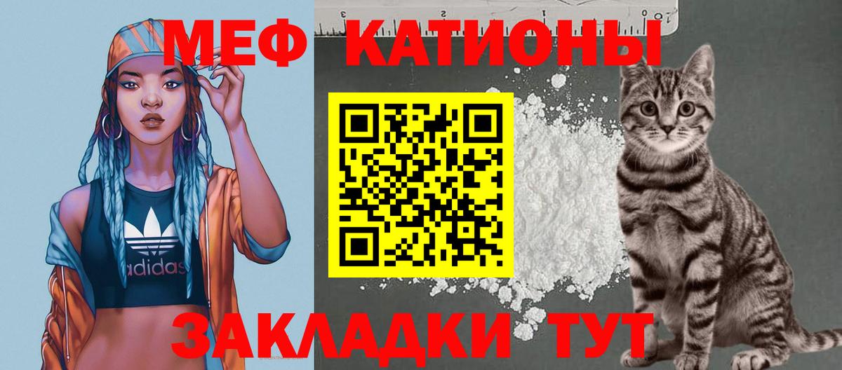 МЕФ  Кузнецк