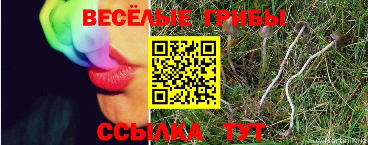 Кузнецк  Галлюциногенные грибы Magic Shrooms  Вход с VPN 