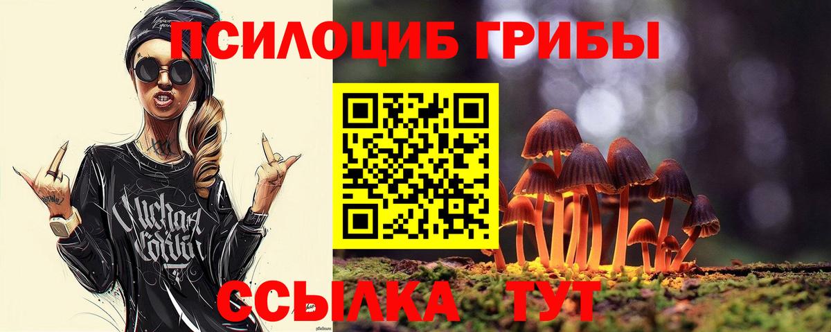 Псилоцибиновые грибы прущие грибы Кузнецк